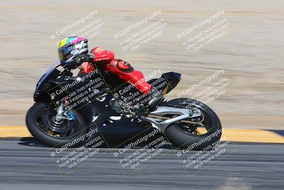 media/Feb-04-2024-SoCal Trackdays (Sun) [[91d6515b1d]]/4-Bowl Backside (11am)/